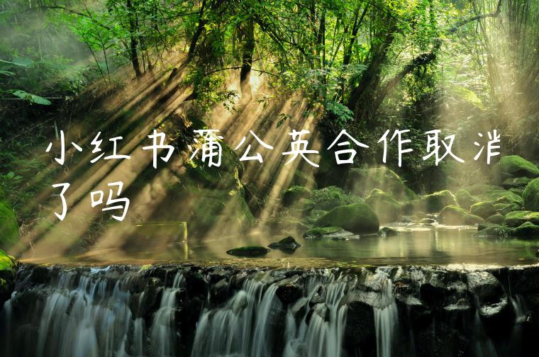 小红书蒲公英合作取消了吗 小红书蒲公英合作取消了吗