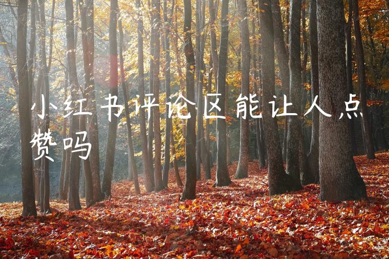 小红书评论区能让人点赞吗 小红书评论区能让人点赞吗