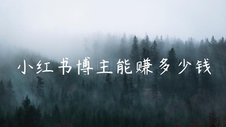小红书博主能赚多少钱 小红书博主能赚多少钱