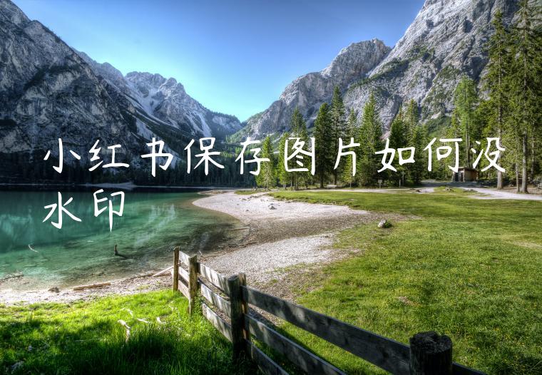 小红书保存图片如何没水印