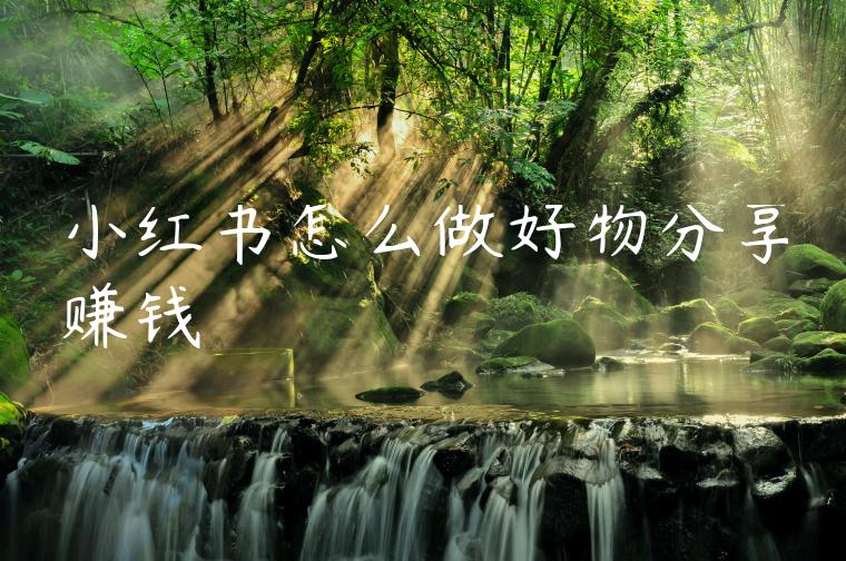 小红书怎么做好物分享赚钱 小红书怎么做好物分享赚钱