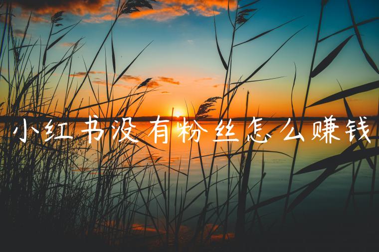 小红书没有粉丝怎么赚钱 小红书没有粉丝怎么赚钱