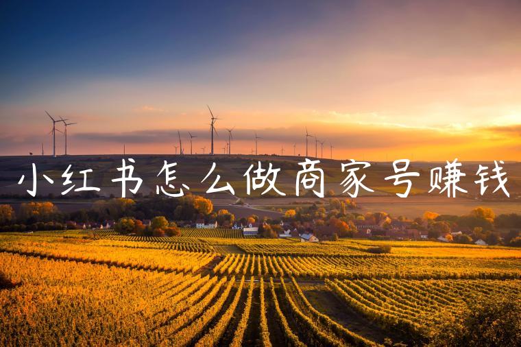 小红书怎么做商家号赚钱 小红书怎么做商家号赚钱