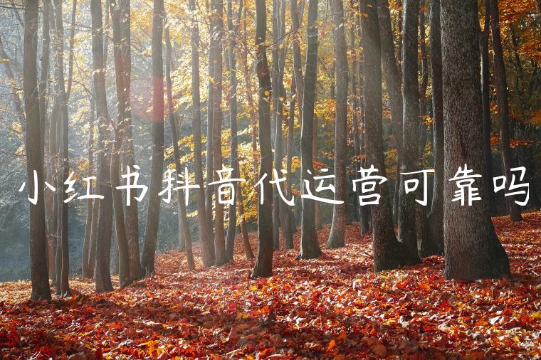 小红书抖音代运营可靠吗