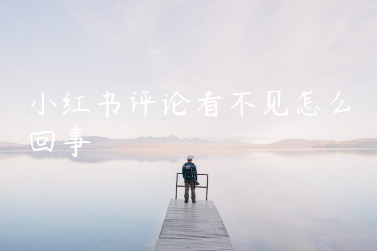 小红书评论看不见怎么回事