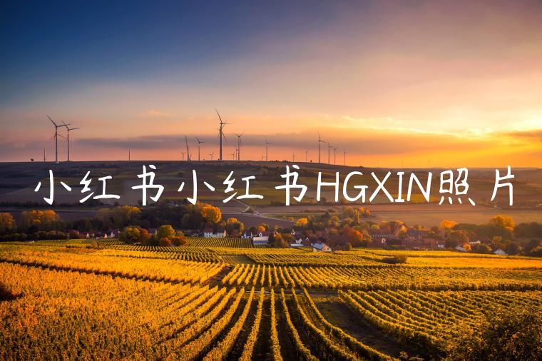 小红书小红书HGXIN照片 小红书小红书HGXIN照片