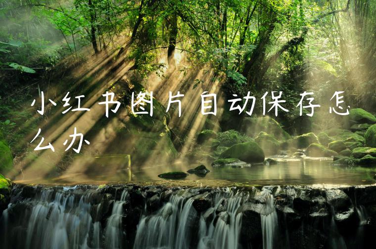 小红书图片自动保存怎么办