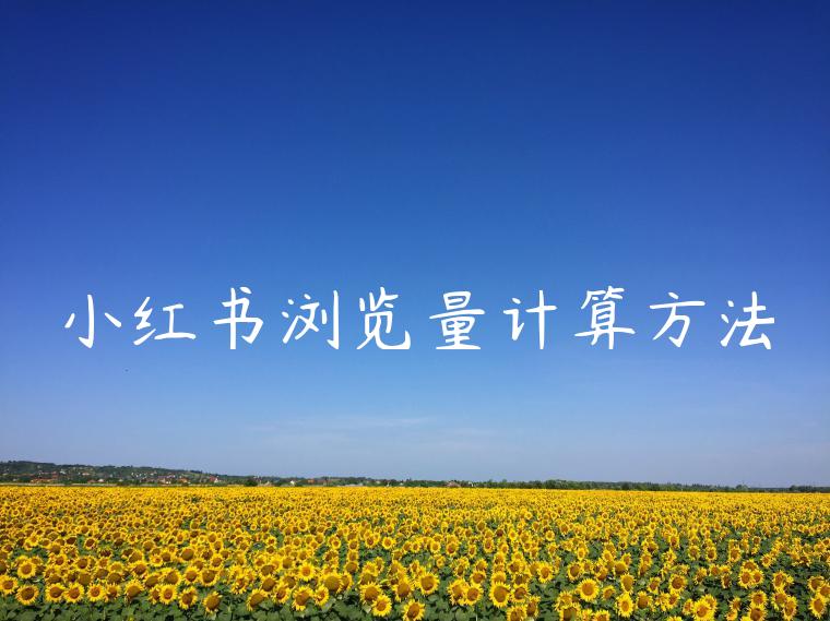 小红书浏览量计算方法 小红书浏览量计算方法
