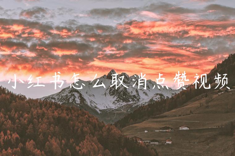 小红书怎么取消点赞视频