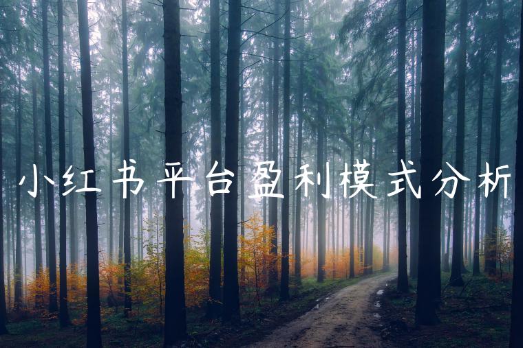 小红书平台盈利模式分析