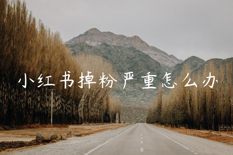 小红书掉粉严重怎么办