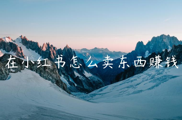 在小红书怎么卖东西赚钱 在小红书怎么卖东西赚钱