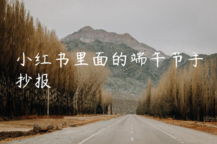 小红书里面的端午节手抄报