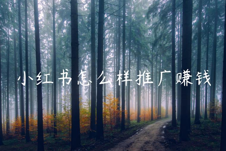 小红书怎么样推广赚钱