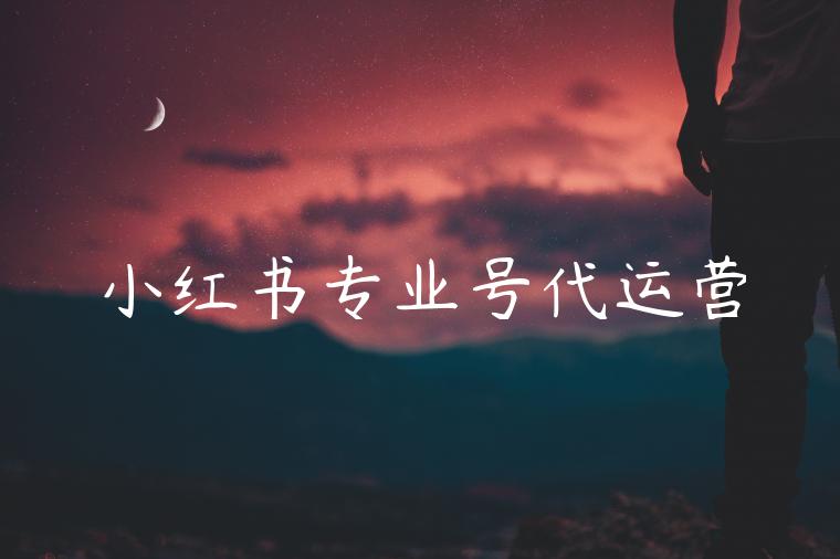 小红书专业号代运营