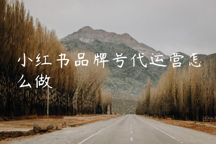 小红书品牌号代运营怎么做