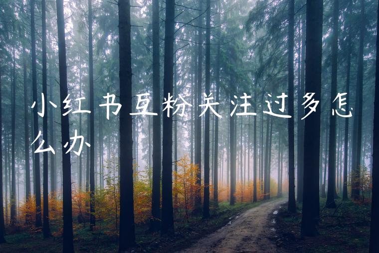 小红书互粉关注过多怎么办