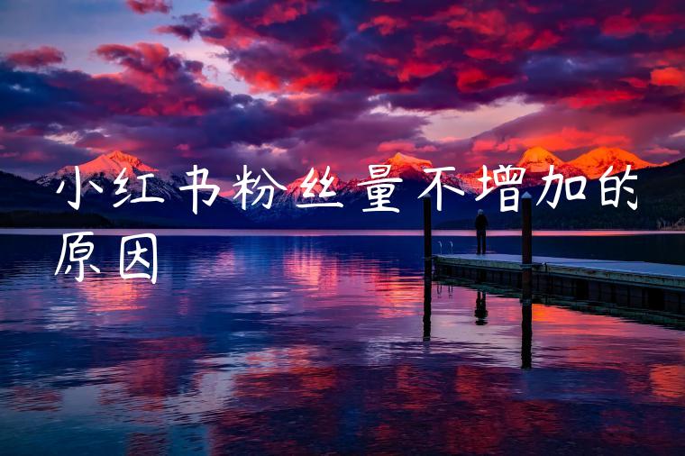 小红书粉丝量不增加的原因 小红书粉丝量不增加的原因
