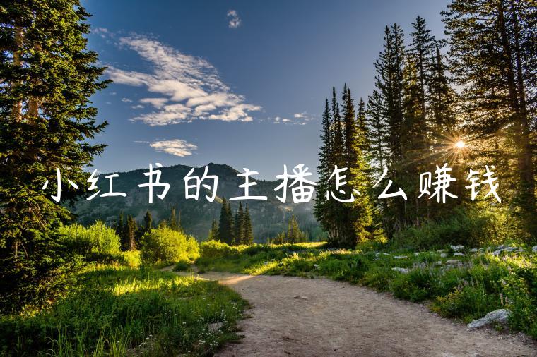 小红书的主播怎么赚钱