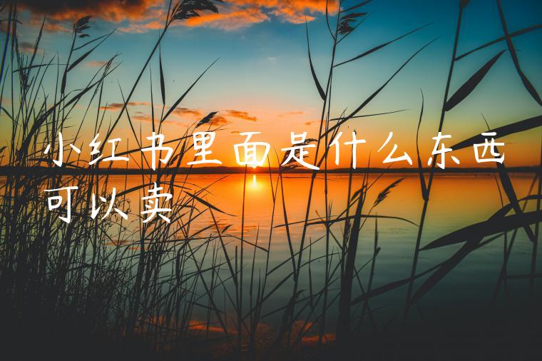 小红书里面是什么东西可以卖