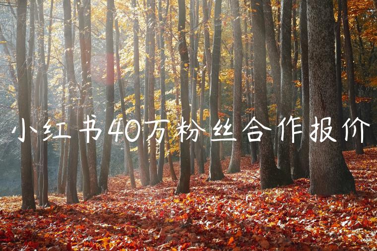 小红书40万粉丝合作报价