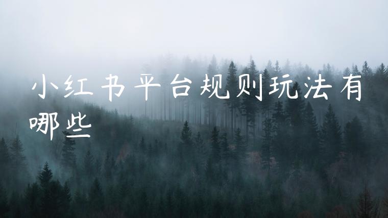 小红书平台规则玩法有哪些