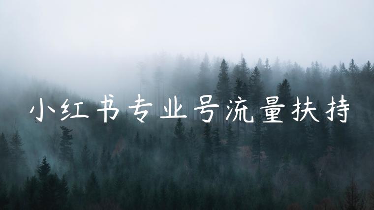 小红书专业号流量扶持 小红书专业号流量扶持