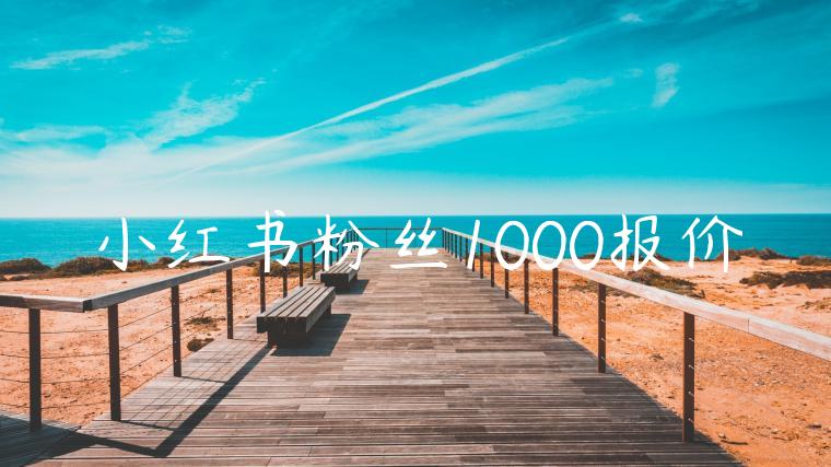 小红书粉丝1000报价 小红书粉丝1000报价