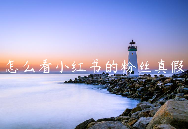 怎么看小红书的粉丝真假