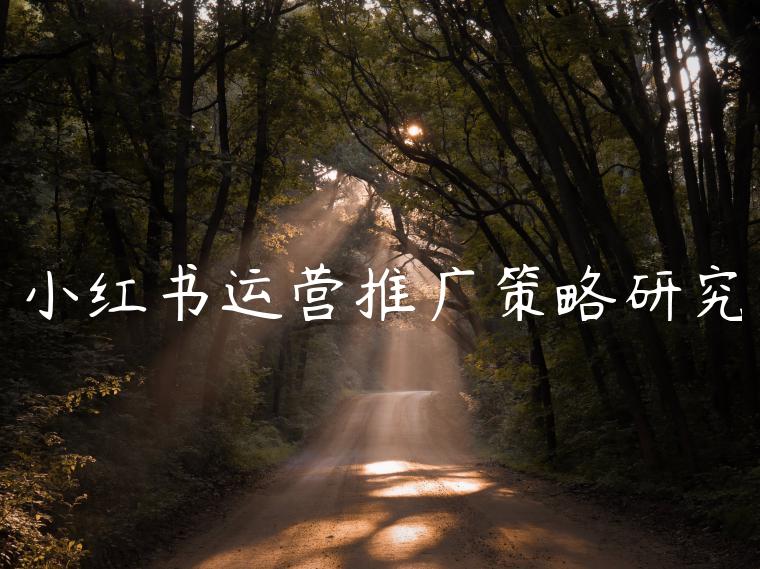 小红书运营推广策略研究 小红书运营推广策略研究