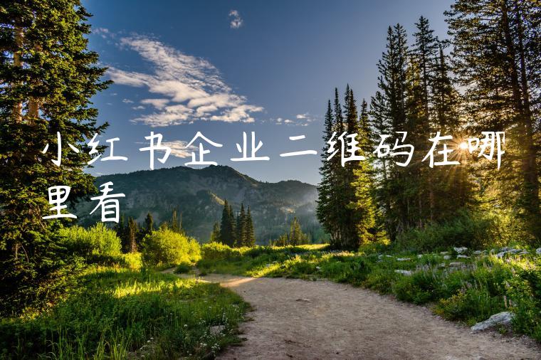 小红书企业二维码在哪里看 小红书企业二维码在哪里看