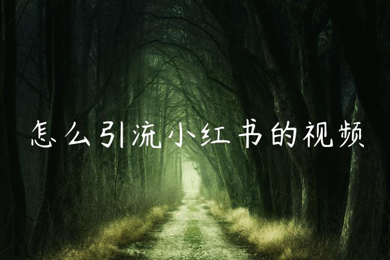 怎么引流小红书的视频