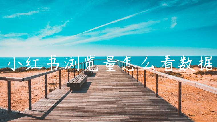 小红书浏览量怎么看数据