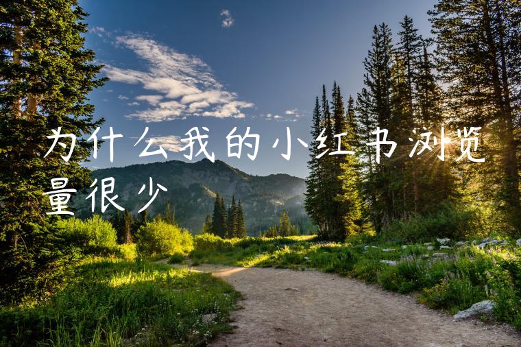 为什么我的小红书浏览量很少