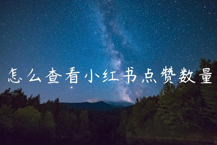 怎么查看小红书点赞数量