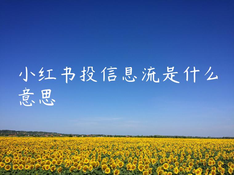 小红书投信息流是什么意思 小红书投信息流是什么意思