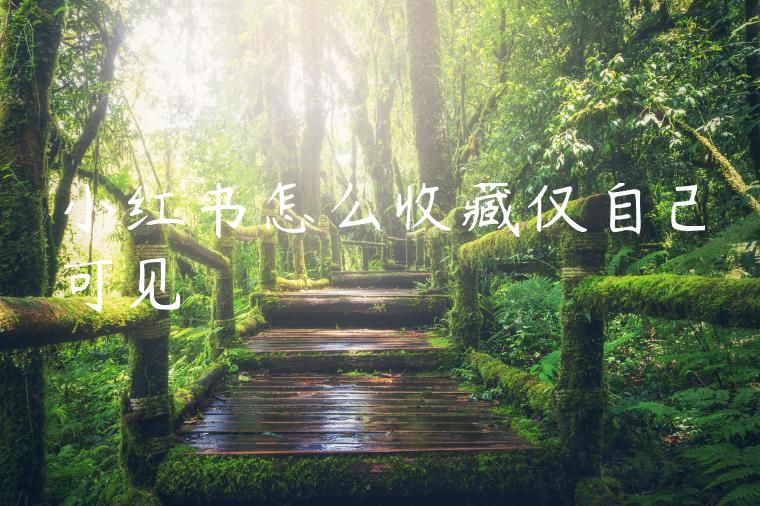 小红书怎么收藏仅自己可见