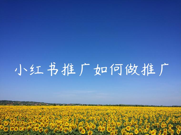 小红书推广如何做推广 小红书推广如何做推广