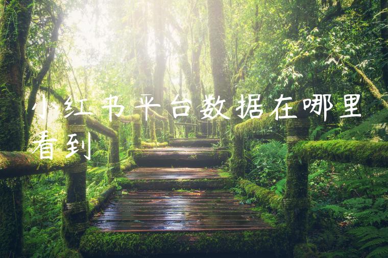小红书平台数据在哪里看到 小红书平台数据在哪里看到