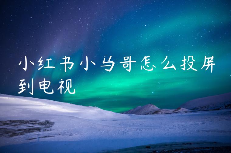 小红书小马哥怎么投屏到电视 小红书小马哥怎么投屏到电视