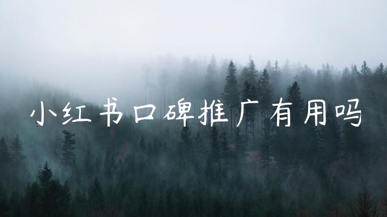 小红书口碑推广有用吗