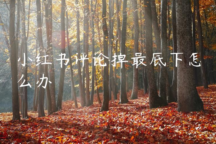 小红书评论掉最底下怎么办