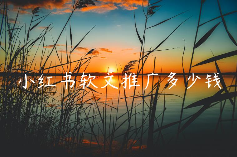 小红书软文推广多少钱 小红书软文推广多少钱