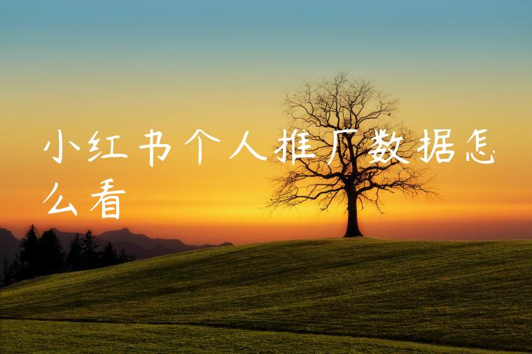 小红书个人推广数据怎么看 小红书个人推广数据怎么看