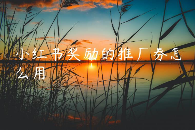 小红书奖励的推广券怎么用