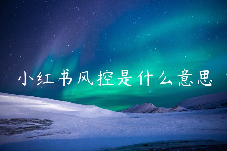 小红书风控是什么意思
