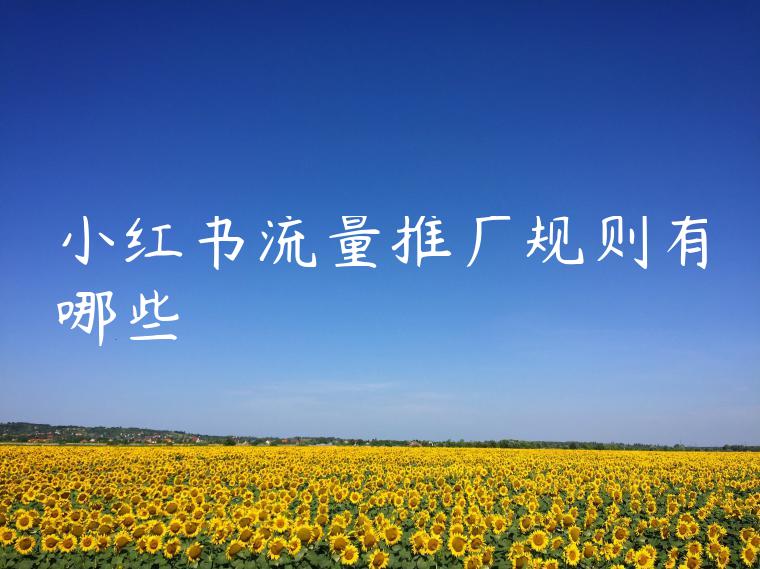小红书流量推广规则有哪些 小红书流量推广规则有哪些