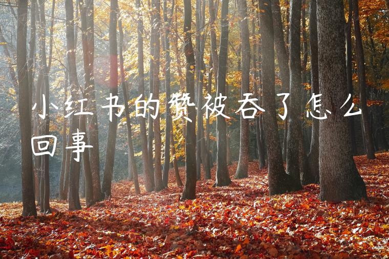 小红书的赞被吞了怎么回事 小红书的赞被吞了怎么回事