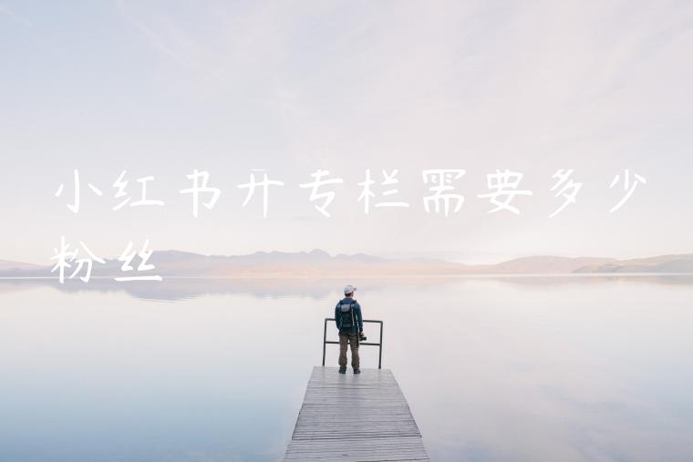 小红书开专栏需要多少粉丝 小红书开专栏需要多少粉丝