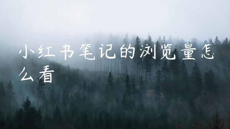 小红书笔记的浏览量怎么看 小红书笔记的浏览量怎么看